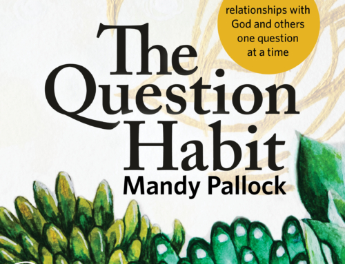 Bonus Episode – The Question Habit – Chapter 1