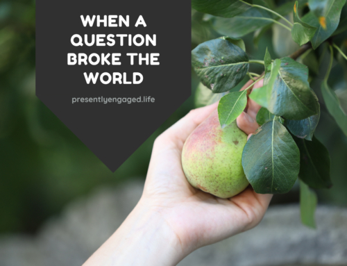 When a Question Broke the World