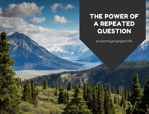 The Power of a Repeated Question: What Elijah’s Cave Teaches Us
